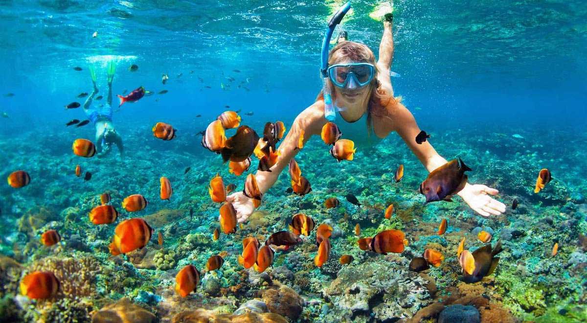 Snorkeling in Ly Son Island